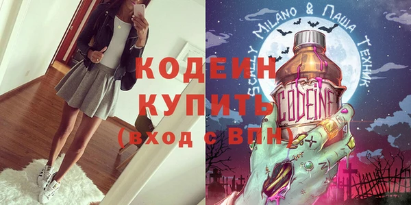 гидра Богородицк