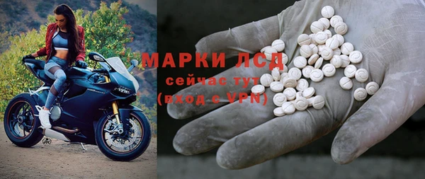гидра Богородицк