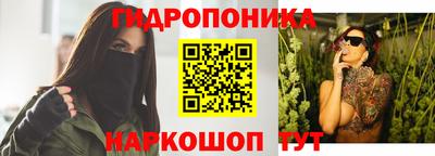 сатива Можга