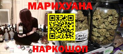 сатива Можга