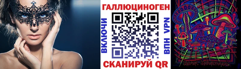 где можно купить   Губкинский  Псилоцибиновые грибы ЛСД 
