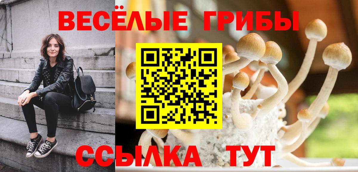 Галлюциногенные грибы мухоморы Губкинский