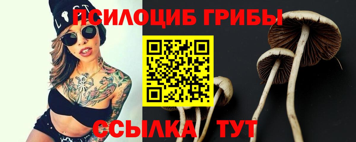Галлюциногенные грибы Magic Shrooms  Псилоцибиновые грибы прущие грибы  Губкинский  Вход с VPN 